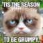 Grumpy cat