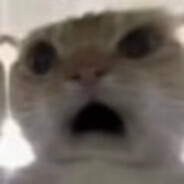 凡高大者，我无不蔑视