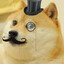 Sir Doge