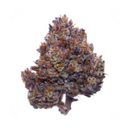 Bastian Obsztyfitykultykiewicz