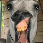 HorseLuii avatar
