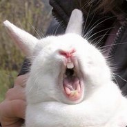 ๖ۣۣۜЛყчωиę ∂թყ