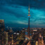 TorontoZzz