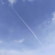 虚空掠夺者牛爷爷