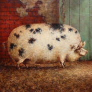 Piggish Sir