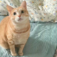 然后我们唱了歌