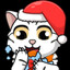 Christmas Cat