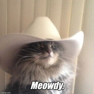 MEOWdy =^･ω･^= skins