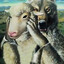dhzin's avatar