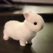 哥哥刚出来心里毛躁的很妹妹要小心