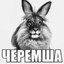 ЧЕРЕМША