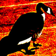 Goose