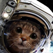 一天不打憋得慌