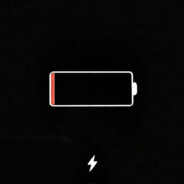 九江最后的深禽