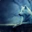 [VN]KingWolf_Ben