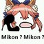 Mikon？Mikon？