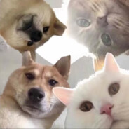 螺旋天光极锐斩空闪一式