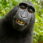 Lessix's avatar