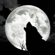 ►Wolfik◄
