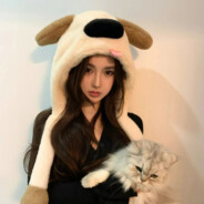 kitty不爱玩游戏