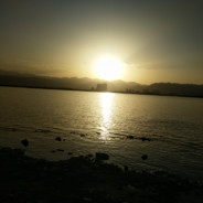 飞到天上摘星星