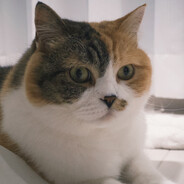 麻辣猪蹄不要辣