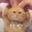铁锅炖之鲇鱼