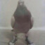 TheGrandWizard