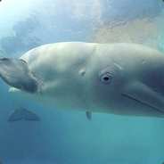 Инвалид Андрей