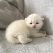 ꧁ℳaⲦⱔɪ℣aẕⱔɪ✞