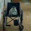 Wheelchair cat
