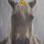 和谐号猛烈撞击隧道