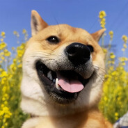 刀盾