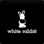 :whited_rabbit: