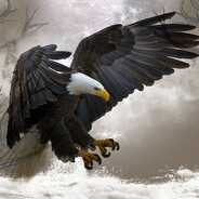 Eagle