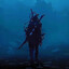 NaViD-