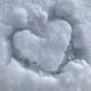 snow ♥