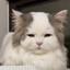 [–¦–] 332Leo