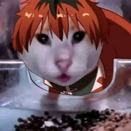 WWWWWWWWWWWWWWWWWWWWWWWWWWWWWWWW