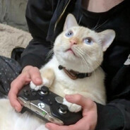 哈基米南北绿多🐱