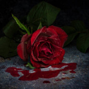 A Bleeding Rose