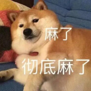 佛罗里达小笨蛋