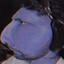 𝖘𝖚𝖗𝖋𝖊𝖘