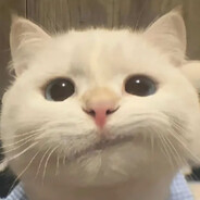 海底捞首席执行官