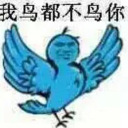 鳄鱼连