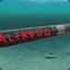 AlfredoTorpedo