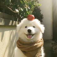 星期日不上发条