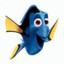 Dory