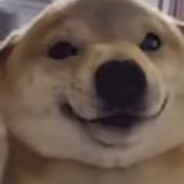 关于残疾少女用轮椅压我牛子这件事情