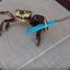 Crab with a knife!?
